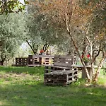 Le Piume *