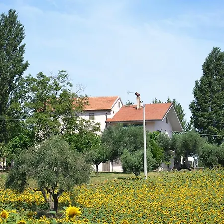Le Piume Cupramontana