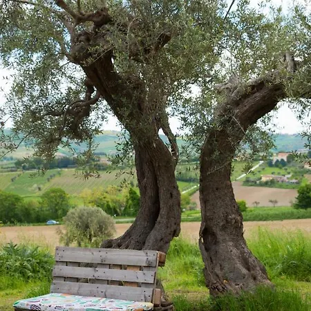 Le Piume * Cupramontana