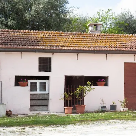 Bed & Breakfast Le Piume *