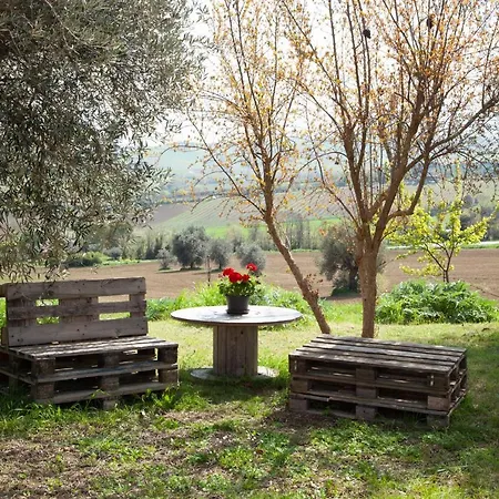 Le Piume