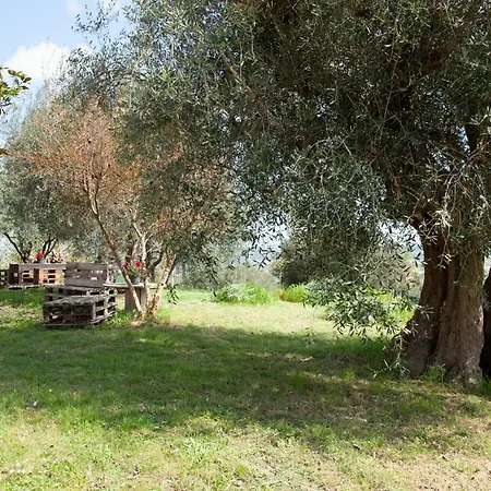 Bed & Breakfast Le Piume *