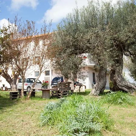 Le Piume