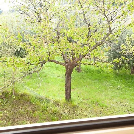 Le Piume Alojamento de Acomodação e Pequeno-almoço *