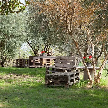 Le Piume *