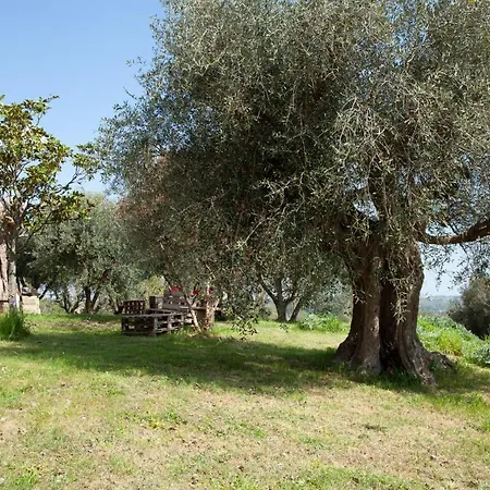 Le Piume * Cupramontana