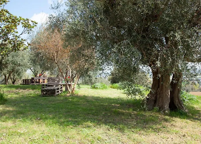 Bed & Breakfast Le Piume *