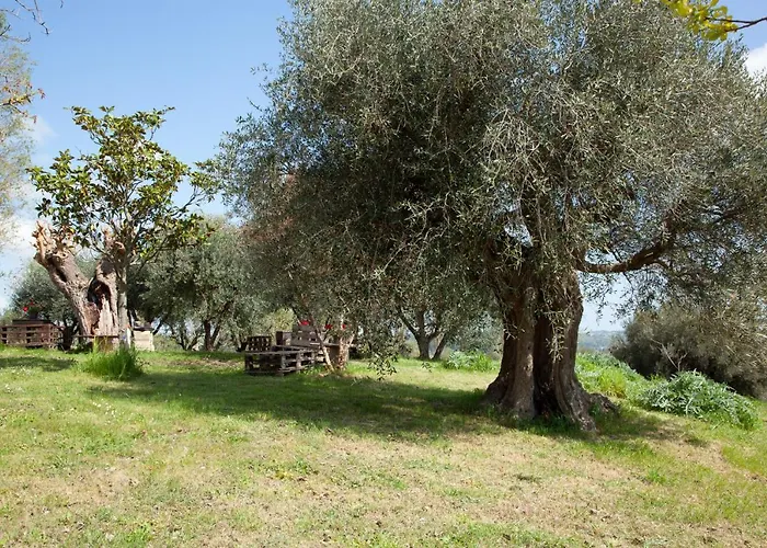 Le Piume * Cupramontana